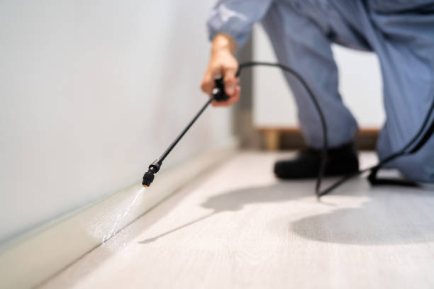 Licensed Fumigation Services service in Middletown, NY - Nex Pest Control