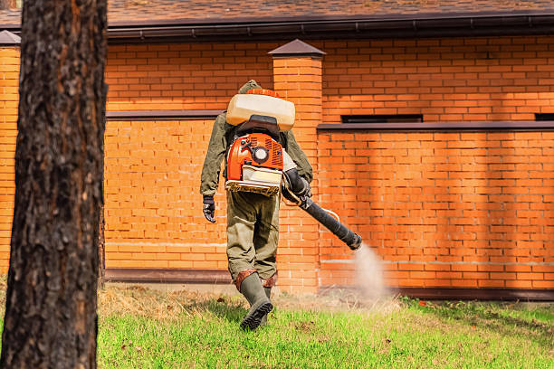 Trusted Rodent Control service in Middletown, NY - Nex Pest Control